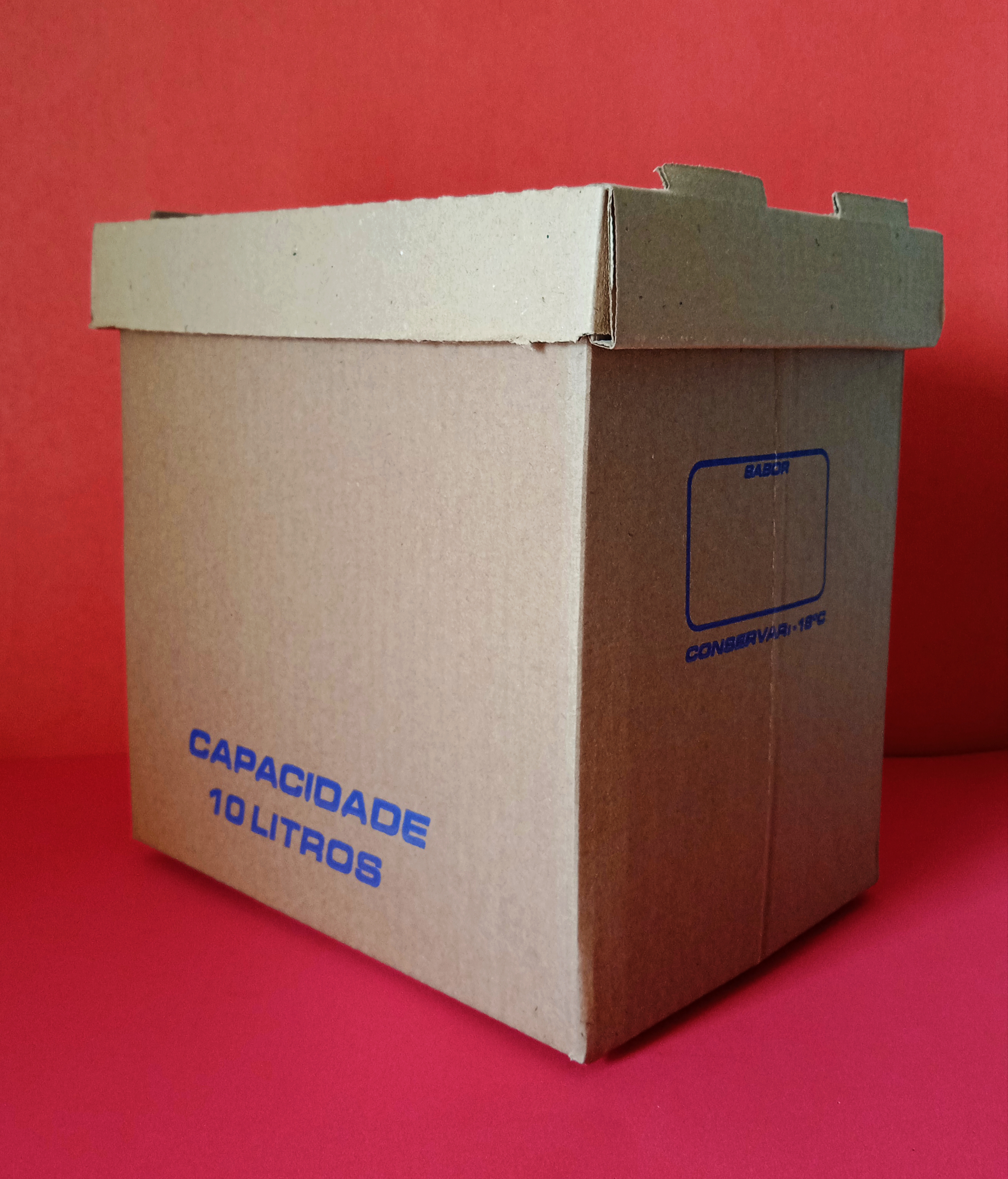 Caixa de sorvete 10 litros